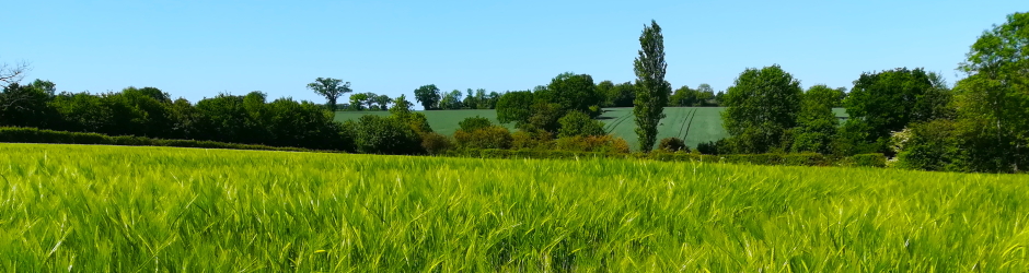 Christmas Lane, Metfield